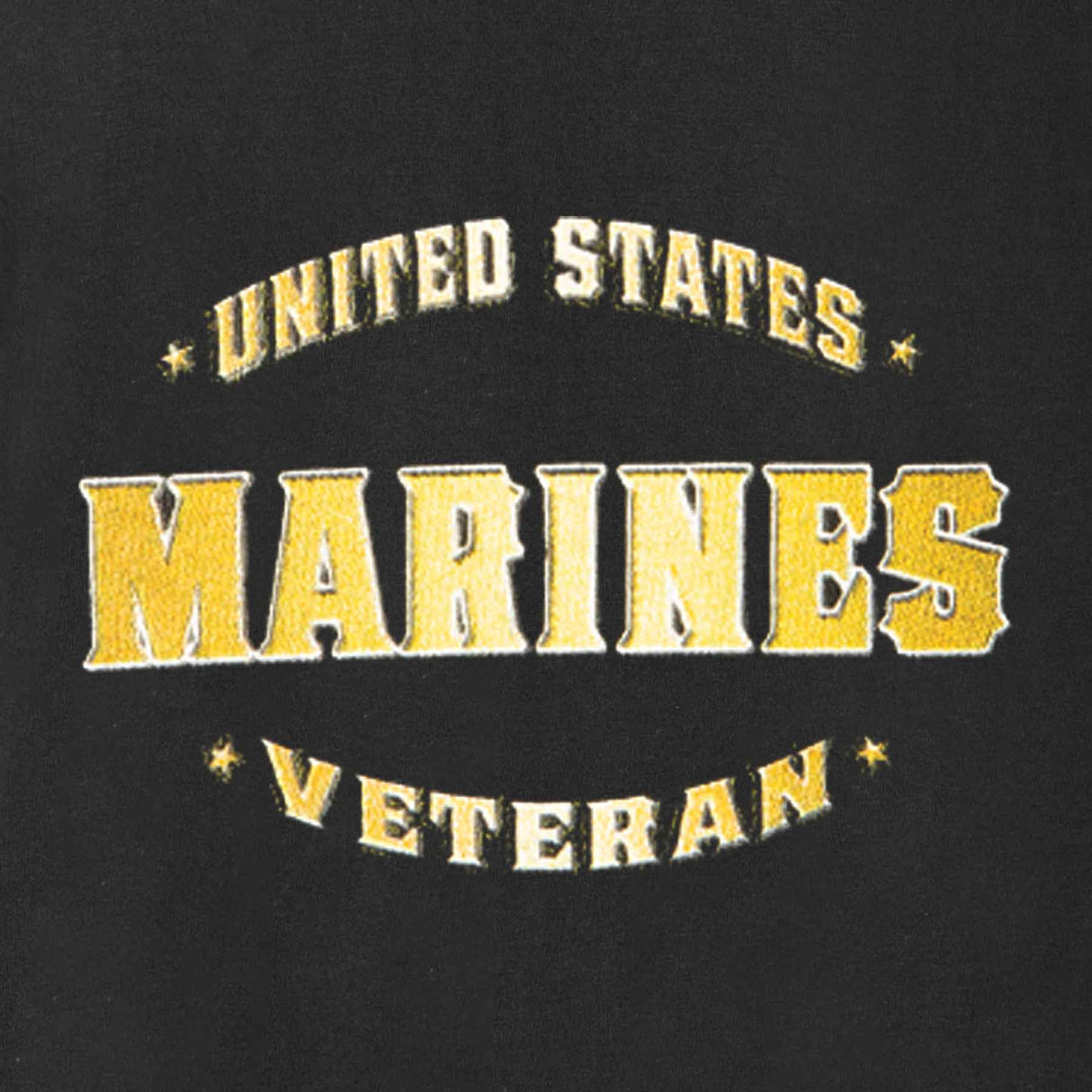 Marine Veteran Perched Eagle T-shirt - SGT GRIT