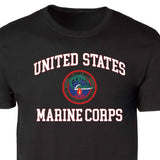 2nd Assualt Amphibious Bn USMC Patch Graphic T-shirt - SGT GRIT