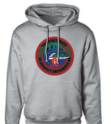 2nd Assualt Amphibious Battalion Hoodie - SGT GRIT