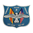 Combined Action Program Patch - SGT GRIT