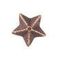 1/8 Bronze Star - SGT GRIT